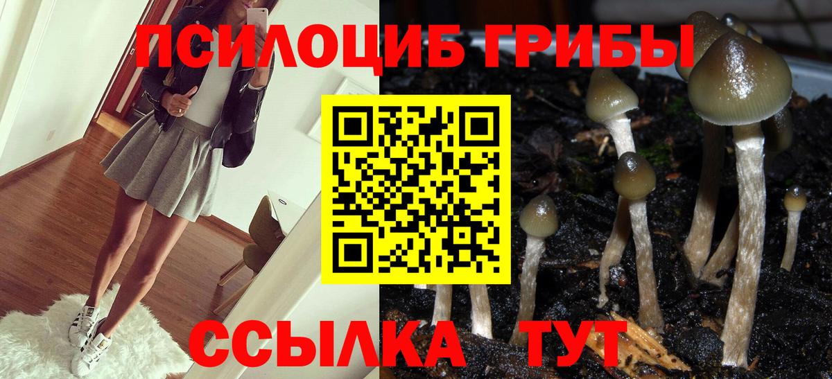 Электросталь  Псилоцибиновые грибы MAGIC MUSHROOMS  Псилоцибиновые грибы Psilocybe  Вход с VPN 
