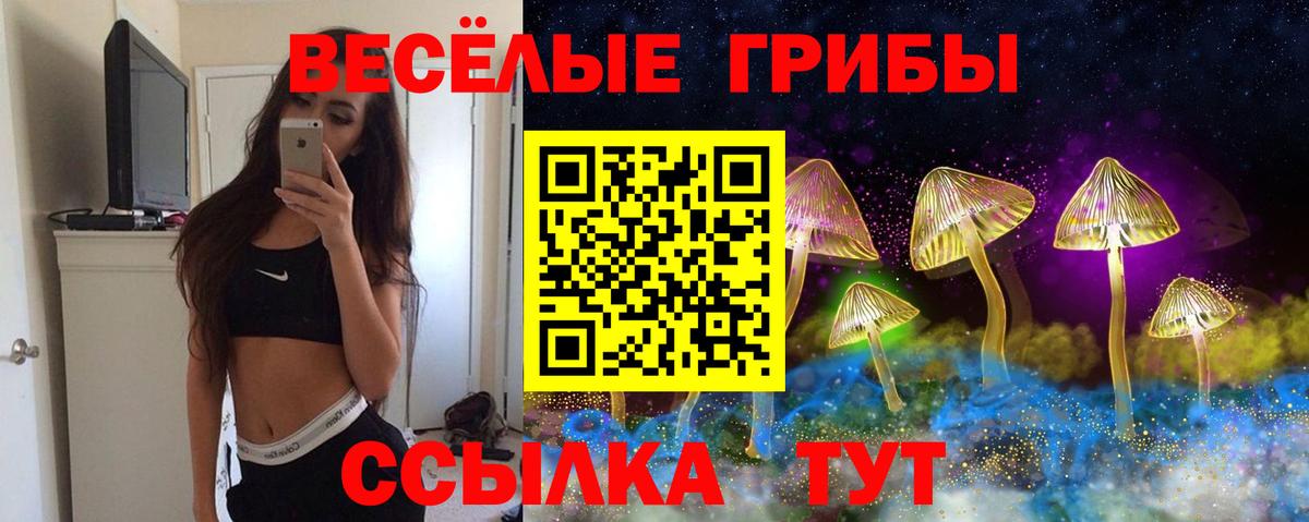 Галлюциногенные грибы мухоморы Электросталь